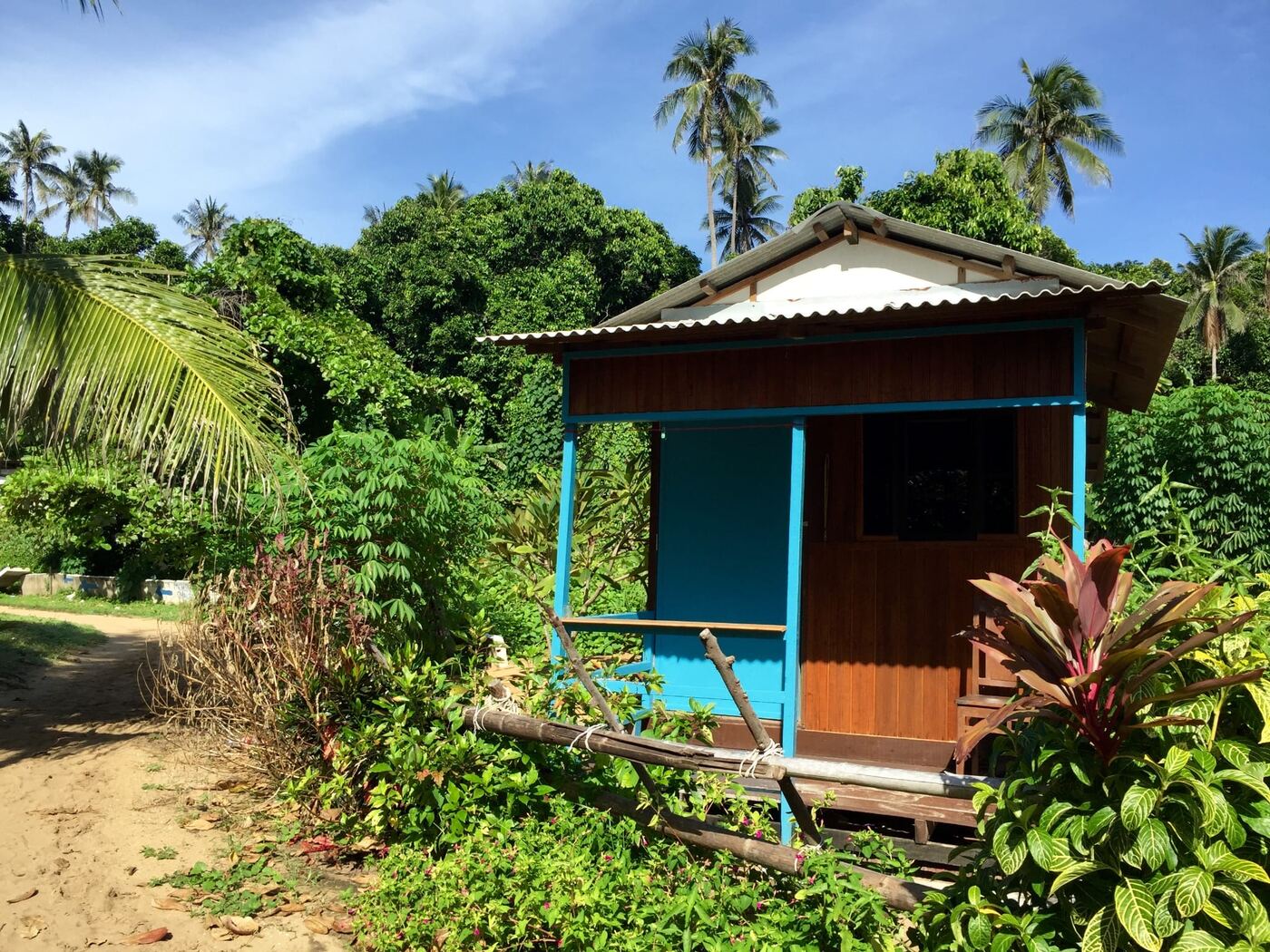 A small blue cottage among palm trees